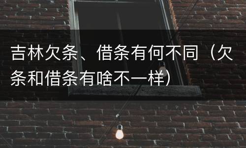 吉林欠条、借条有何不同（欠条和借条有啥不一样）