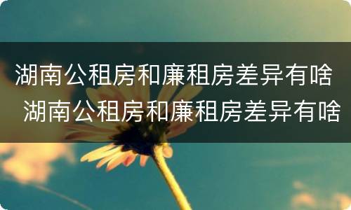 湖南公租房和廉租房差异有啥 湖南公租房和廉租房差异有啥规定