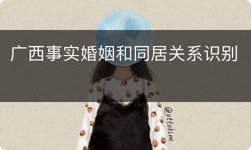 广西事实婚姻和同居关系识别