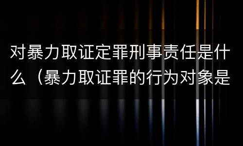对暴力取证定罪刑事责任是什么（暴力取证罪的行为对象是）