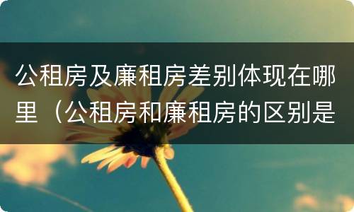 公租房及廉租房差别体现在哪里（公租房和廉租房的区别是什么）