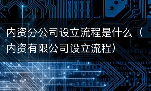 内资分公司设立流程是什么（内资有限公司设立流程）