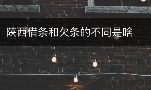 陕西借条和欠条的不同是啥