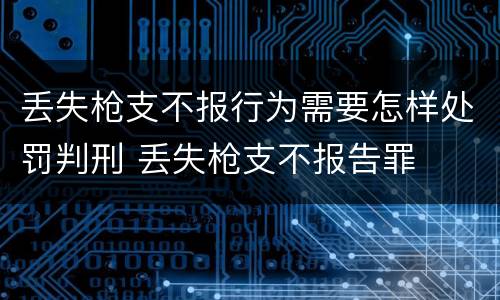 丢失枪支不报行为需要怎样处罚判刑 丢失枪支不报告罪