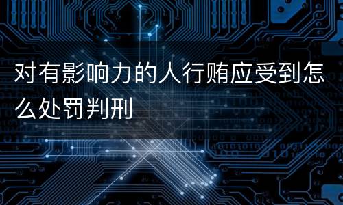 对有影响力的人行贿应受到怎么处罚判刑