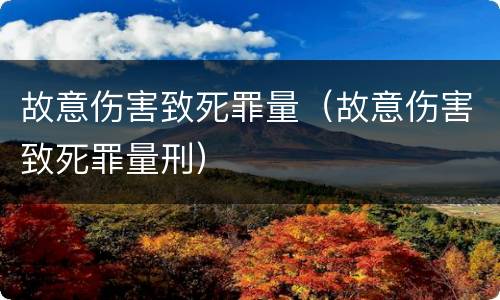 故意伤害致死罪量（故意伤害致死罪量刑）