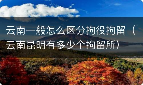 云南一般怎么区分拘役拘留（云南昆明有多少个拘留所）