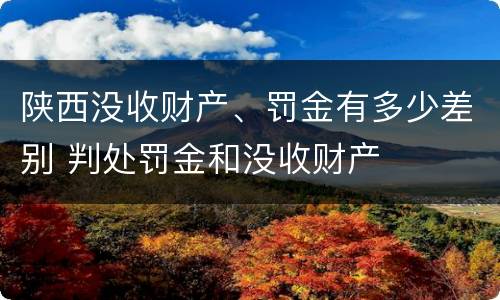 陕西没收财产、罚金有多少差别 判处罚金和没收财产
