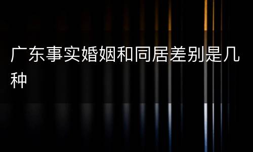 广东事实婚姻和同居差别是几种