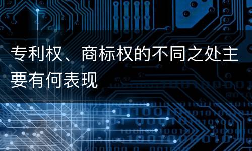 专利权、商标权的不同之处主要有何表现