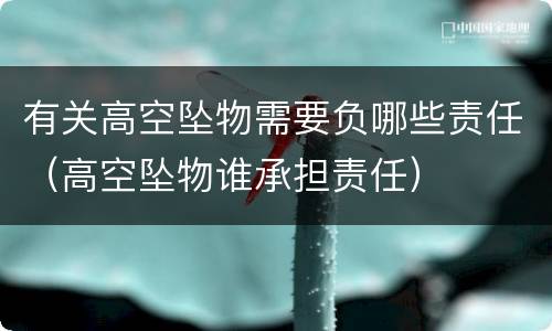 有关高空坠物需要负哪些责任（高空坠物谁承担责任）
