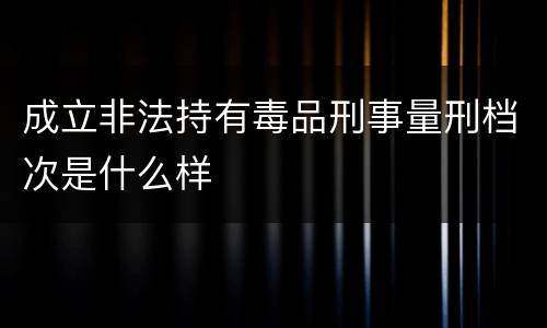 成立非法持有毒品刑事量刑档次是什么样