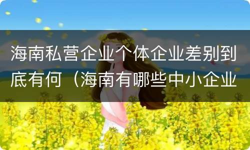 海南私营企业个体企业差别到底有何（海南有哪些中小企业）