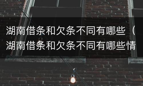 湖南借条和欠条不同有哪些（湖南借条和欠条不同有哪些情况）