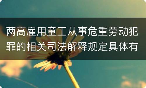 两高雇用童工从事危重劳动犯罪的相关司法解释规定具体有哪些主要内容
