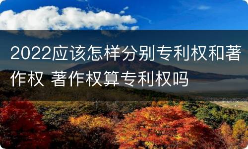 2022应该怎样分别专利权和著作权 著作权算专利权吗