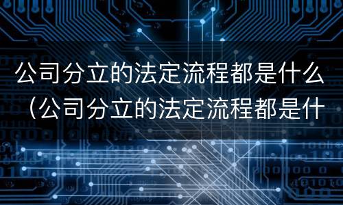 公司分立的法定流程都是什么（公司分立的法定流程都是什么样的）