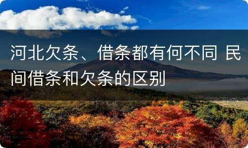 河北欠条、借条都有何不同 民间借条和欠条的区别