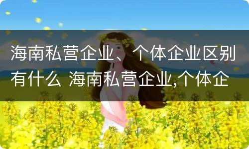 海南私营企业、个体企业区别有什么 海南私营企业,个体企业区别有什么特点