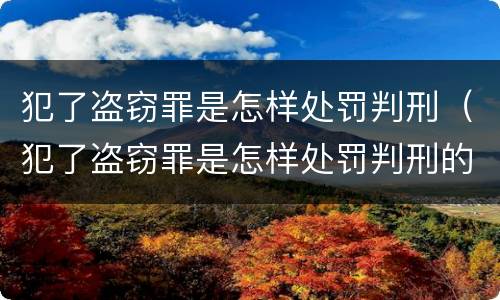 犯了盗窃罪是怎样处罚判刑（犯了盗窃罪是怎样处罚判刑的）