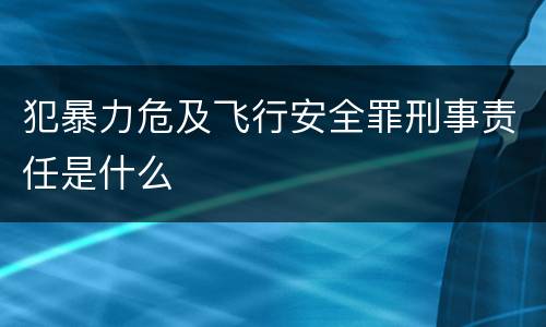 犯暴力危及飞行安全罪刑事责任是什么