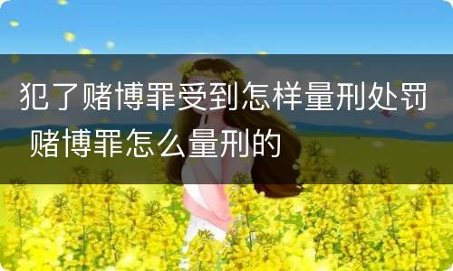 犯了赌博罪受到怎样量刑处罚 赌博罪怎么量刑的