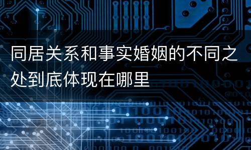 同居关系和事实婚姻的不同之处到底体现在哪里