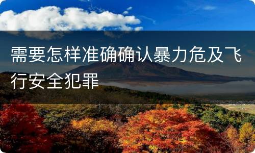 需要怎样准确确认暴力危及飞行安全犯罪