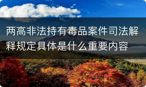 两高非法持有毒品案件司法解释规定具体是什么重要内容