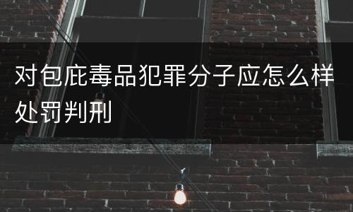 对包庇毒品犯罪分子应怎么样处罚判刑