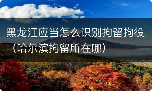 黑龙江应当怎么识别拘留拘役（哈尔滨拘留所在哪）