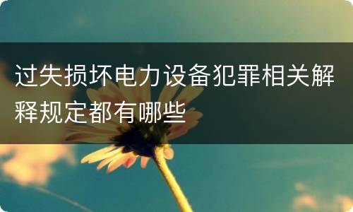 过失损坏电力设备犯罪相关解释规定都有哪些