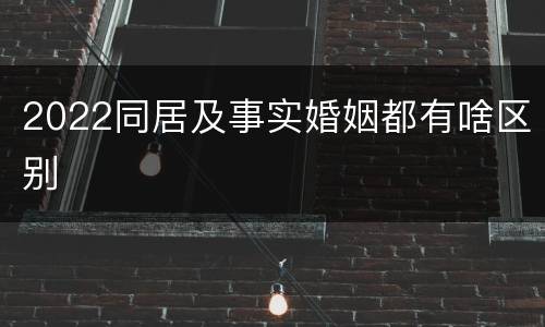 2022同居及事实婚姻都有啥区别
