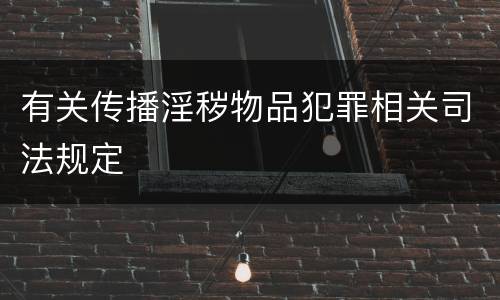 有关传播淫秽物品犯罪相关司法规定