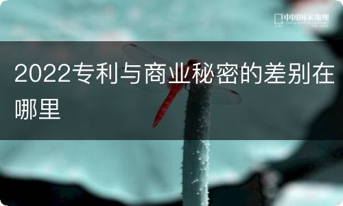 2022专利与商业秘密的差别在哪里