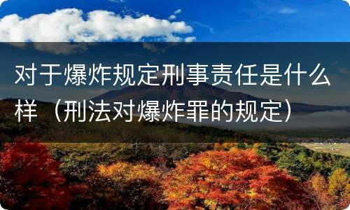 对于爆炸规定刑事责任是什么样（刑法对爆炸罪的规定）