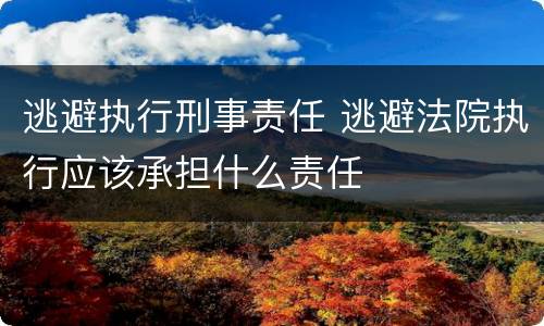 逃避执行刑事责任 逃避法院执行应该承担什么责任