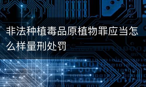 非法种植毒品原植物罪应当怎么样量刑处罚