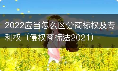 2022应当怎么区分商标权及专利权（侵权商标法2021）