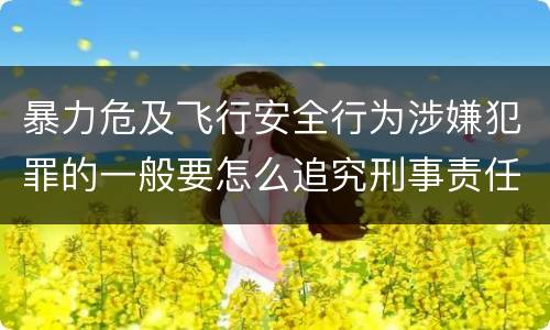 暴力危及飞行安全行为涉嫌犯罪的一般要怎么追究刑事责任