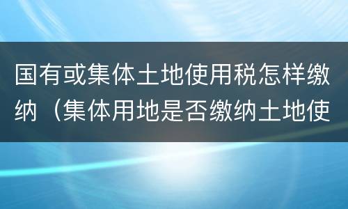 国有或集体土地使用税怎样缴纳（集体用地是否缴纳土地使用税）