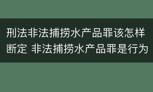 刑法非法捕捞水产品罪该怎样断定 非法捕捞水产品罪是行为犯吗