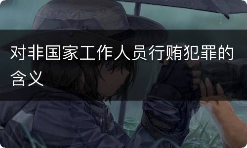 对非国家工作人员行贿犯罪的含义