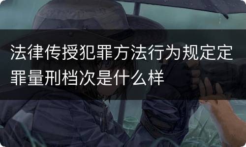 法律传授犯罪方法行为规定定罪量刑档次是什么样