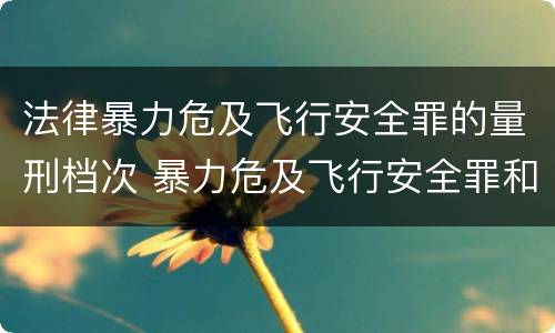 法律暴力危及飞行安全罪的量刑档次 暴力危及飞行安全罪和劫持航空器罪的区别