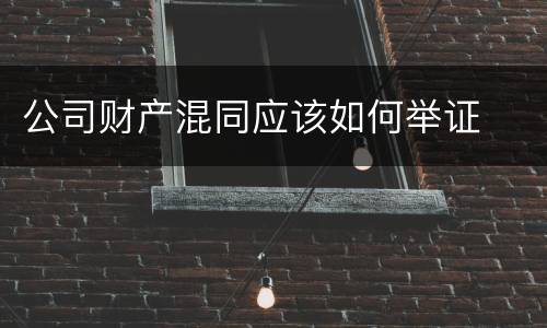 公司财产混同应该如何举证