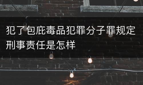 犯了包庇毒品犯罪分子罪规定刑事责任是怎样