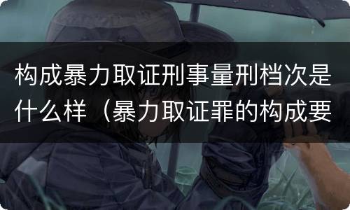 构成暴力取证刑事量刑档次是什么样（暴力取证罪的构成要件）