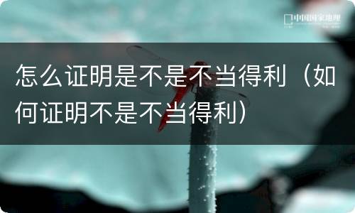怎么证明是不是不当得利（如何证明不是不当得利）