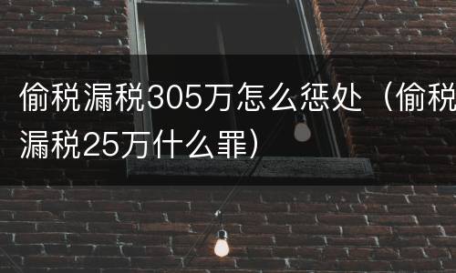 偷税漏税305万怎么惩处（偷税漏税25万什么罪）